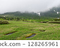 Summer Tsugaike Plateau 128265961