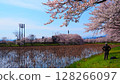 高田城跡公園，藍天與櫻花樹叢中賞櫻的人們 128266097