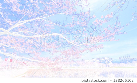 高田城公園的櫻花在藍天下盛開,水彩畫風格 高田城公園的櫻花在藍天下盛開,水彩畫風格 128266102
