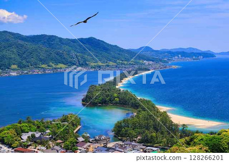 天橋立與黑鳶 128266201