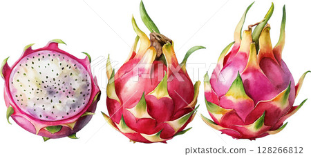 Watercolor Dragon Fruit Watercolor Dragon Fruit 128266812
