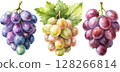 Watercolor Painting of Grapes 128266814