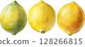 Three Watercolor Lemons 128266815