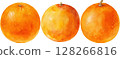 Three Watercolor Oranges 128266816