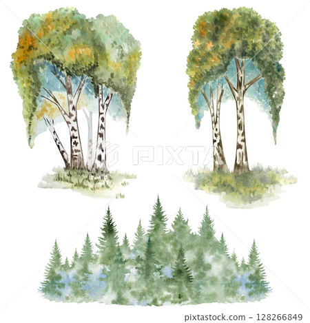 Watercolor birch trees clipart set Russian forest scenes with birch groves, woodland edges and glades, hand-painted for fairytale designs, kids books, decor, postcards, invitations and crafts Watercolor birch trees clipart set Russian forest scenes with birch groves, woodland edges and glades, hand-painted for fairytale designs, kids books, decor, postcards, invitations and crafts 128266849