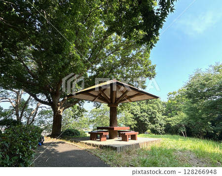 Resting place in the forest Resting place in the forest 128266948