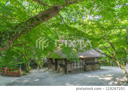 Mizutani Chaya (in Nara Park) surrounded by beautiful green maples Mizutani Chaya (in Nara Park) surrounded by beautiful green maples 128267201