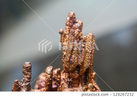 銅熔化並形成塊狀 128267232