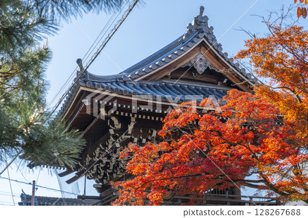 被紅葉包圍的京都妙蓮寺鐘樓(京都市上京區妙蓮寺前町) 被紅葉包圍的京都妙蓮寺鐘樓(京都市上京區妙蓮寺前町) 128267688