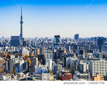 Tokyo City View Skytree and the surrounding areas of Bunkyo and Taito Wards Tokyo City View Skytree and the surrounding areas of Bunkyo and Taito Wards 128267749