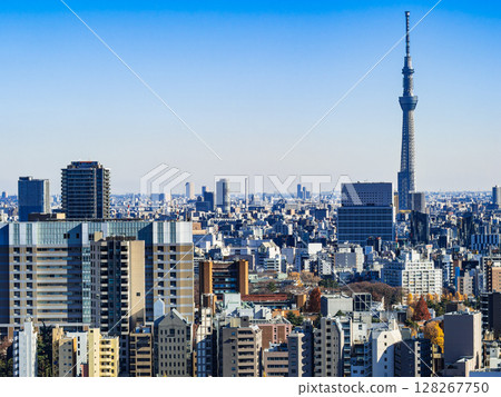 Tokyo City View Skytree and the surrounding areas of Bunkyo and Taito Wards Tokyo City View Skytree and the surrounding areas of Bunkyo and Taito Wards 128267750