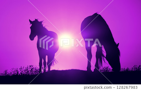 A pair of horses graze in a meadow during a purple sunset. Horse silhouettes at sunset 128267983