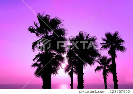Palm trees against a background of purple gradient sunset sky Palm trees against a background of purple gradient sunset sky 128267990