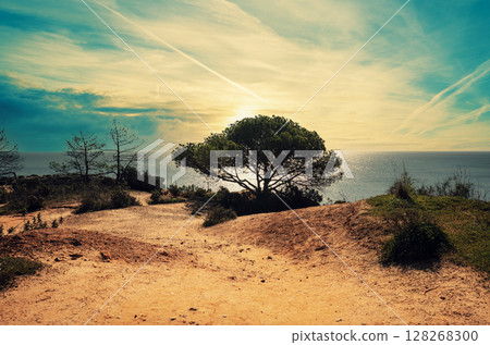 The Atlantic Ocean coast near Praia dos Arrifes beach, Albufeira, Portugal 128268300