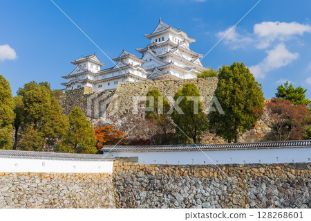 Autumn in Himeji, Hyogo Prefecture, World Heritage Site, National Treasure Himeji Castle and Autumn Leaves, Castle Tower Autumn in Himeji, Hyogo Prefecture, World Heritage Site, National Treasure Himeji Castle and Autumn Leaves, Castle Tower 128268601