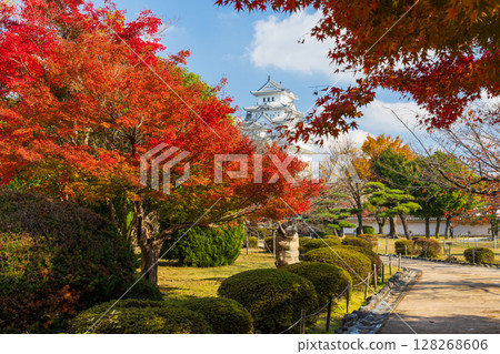 兵庫縣姬路的秋天，世界遺產，國寶姬路城和紅葉，西之丸 128268606