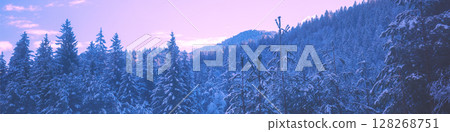 Snow-covered spruce trees on the mountainside during sunrise in winter. Horizontal banner 128268751