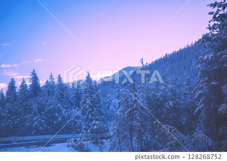 Snow-covered spruce trees on the mountainside during sunrise in winter. Winter rural landscape 128268752