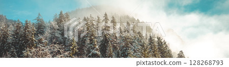 Snow-covered spruce trees on the mountainside on a foggy winter morning. Horizontal banner Snow-covered spruce trees on the mountainside on a foggy winter morning. Horizontal banner 128268793