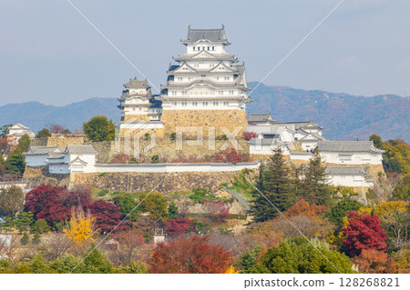 兵庫縣姬路的秋天:世界遺產、國寶姬路城和紅葉 兵庫縣姬路的秋天:世界遺產、國寶姬路城和紅葉 128268821