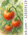 熟透的番茄滴下的水 128269119
