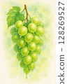 透明光澤麝香葡萄串水彩畫 128269527