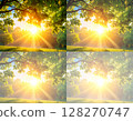 酷熱、陽光、背景、4 個階段、圖片說明 128270747