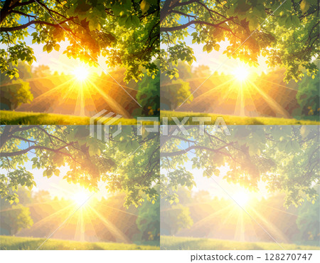 酷熱、陽光、背景、4 個階段、圖片說明 128270747