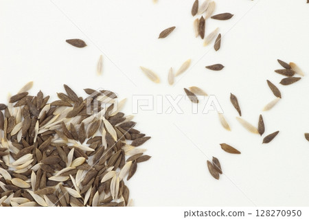 Baby leaf seeds to brighten up your dinner table Baby leaf seeds to brighten up your dinner table 128270950