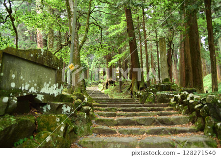 Daiyuzan Saijoji Temple Approach 128271540