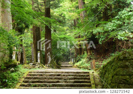 Daiyuzan Saijoji Temple Approach 128271542