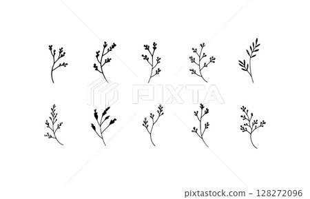 Delicate Floral Linework. A minimalist botanical composition of thin floral elements with small leaves, ideal for elegant design accents and natural themes. 128272096