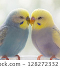 Budgerigar on good terms 128272332