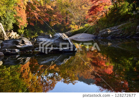 Autumn leaves in Arashiyama Valley 128272677