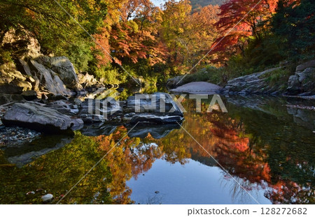 嵐山溪谷的紅葉 128272682