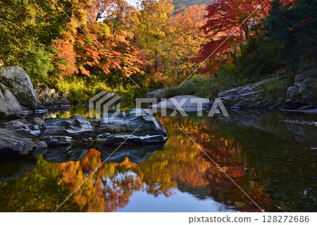 嵐山溪谷的紅葉 128272686