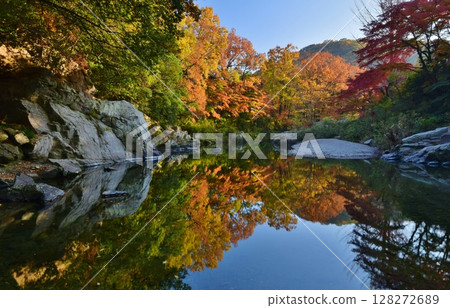 Autumn leaves in Arashiyama Valley 128272689