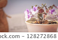 Nature background image. Close-up of flower and Vintage tone color scheme. flowers of sinningia tree. Selective focal and Space on the side for text entry. 128272868