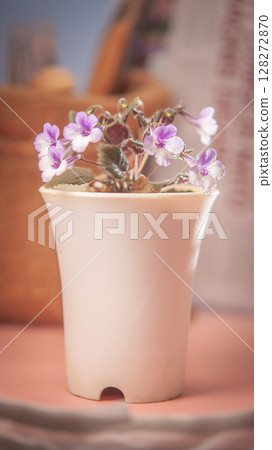 Nature background image. Close-up of flower and Vintage tone color scheme. flowers of sinningia tree. Selective focal and Space on the side for text entry. 128272870