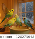 Budgerigar enjoying a bath in a winter-themed room 128273048