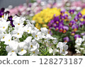 多彩多姿的鮮花 128273187