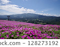山夏天 128273192