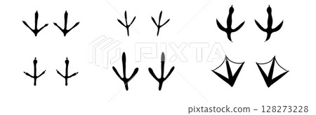 Bird foot mark print silhouette set. Bird trail goose duck foot. Raven owl parrot turkey feet, hen or chicken stump path. Bird foot mark print silhouette set. Bird trail goose duck foot. Raven owl parrot turkey feet, hen or chicken stump path. 128273228