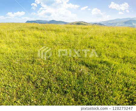 mountainous countryside landscape in summer. rural pasture. grassy meadow on top of a hill. distant mountain ridge in morning light. sunny weather with clouds on the blue sky. alps of ukraine 128273247