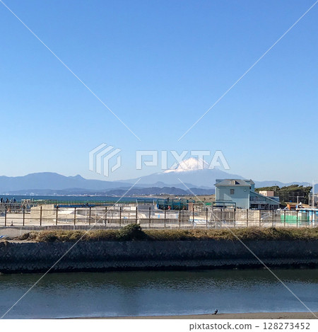 從鷸沼海岸看到的富士山 從鷸沼海岸看到的富士山 128273452