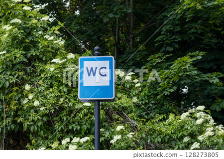 Blue public toilet sign on the nature background. Information icon in the park 128273805