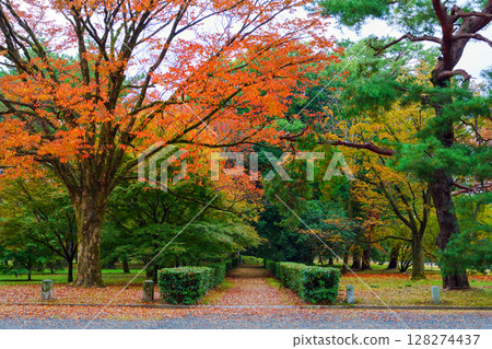 秋葉盛開的公園 秋葉盛開的公園 128274437