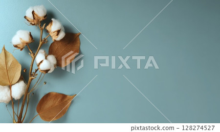Minimalist cotton branch with soft white bolls and dried beige leaves set against a pastel blue backdrop highlights natural fiber, simplicity, and purity 128274527