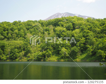 Beautiful fresh greenery at Lake Hangetsu Beautiful fresh greenery at Lake Hangetsu 128275135