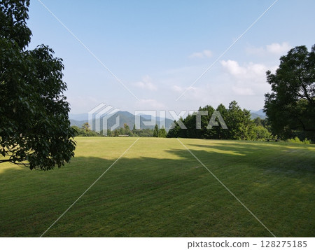 green lawn and large park 128275185